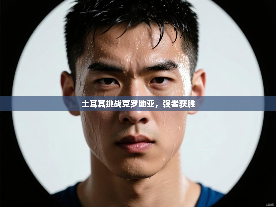 土耳其挑战克罗地亚，强者获胜  第1张