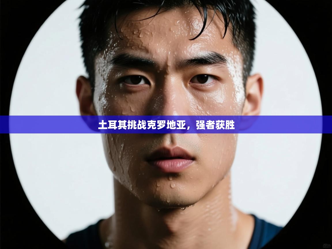 土耳其挑战克罗地亚，强者获胜  第2张