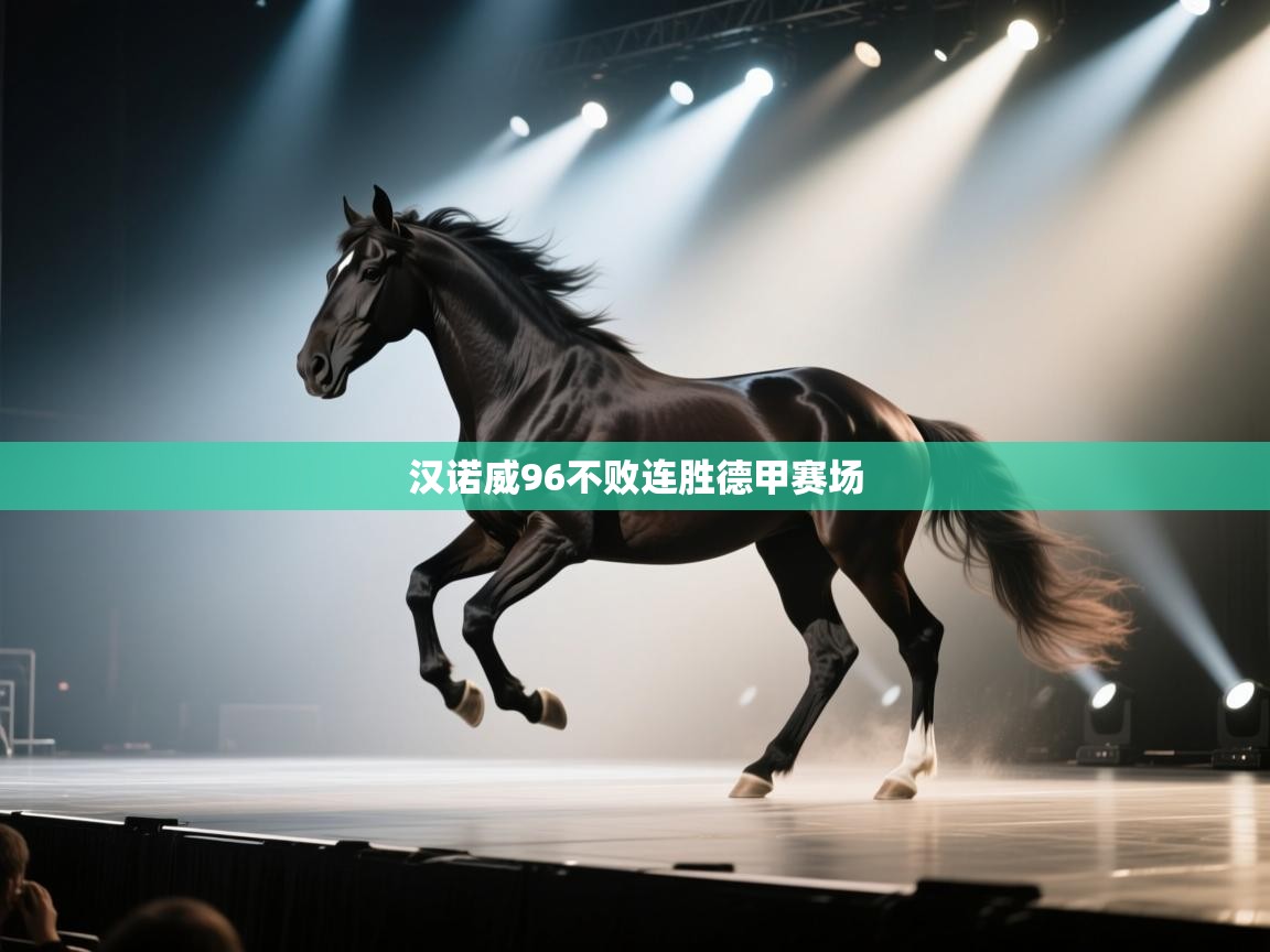 汉诺威96不败连胜德甲赛场  第2张