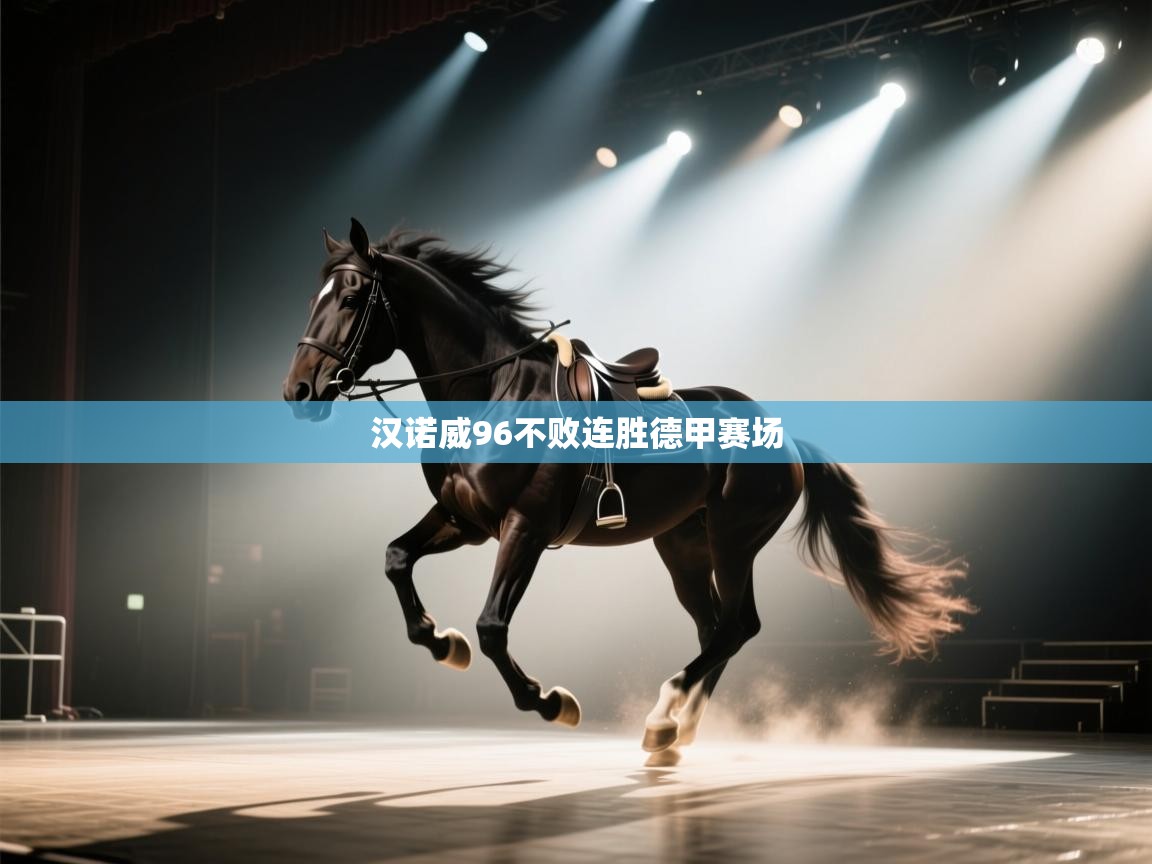 汉诺威96不败连胜德甲赛场  第1张