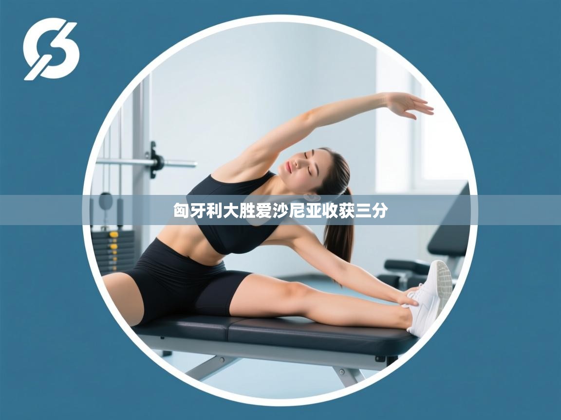 匈牙利大胜爱沙尼亚收获三分 第2张