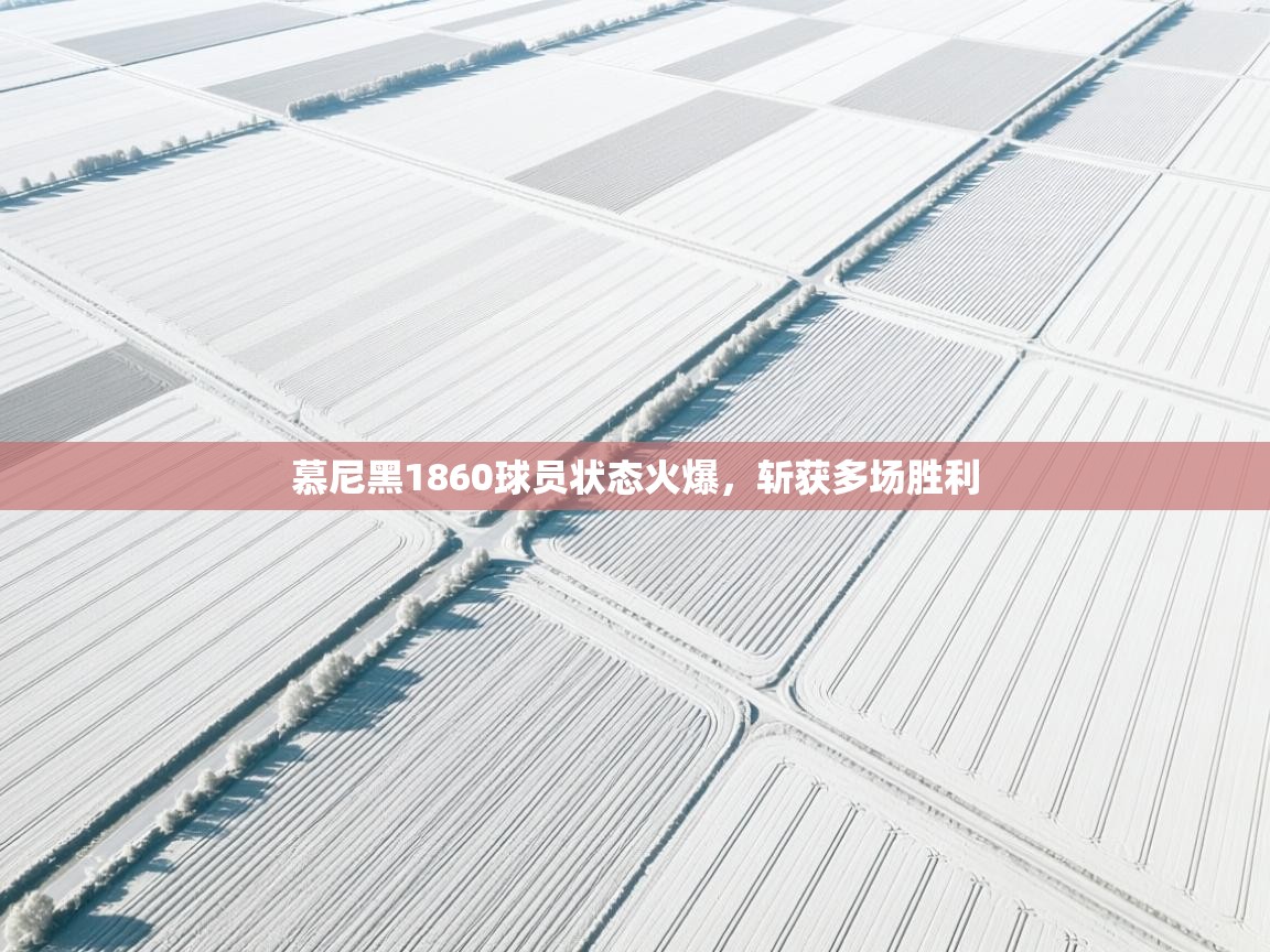 慕尼黑1860球员状态火爆，斩获多场胜利  第1张